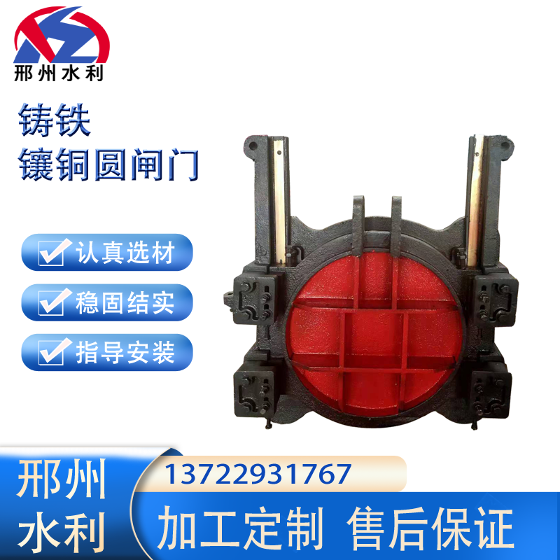 铸铁镶铜闸门